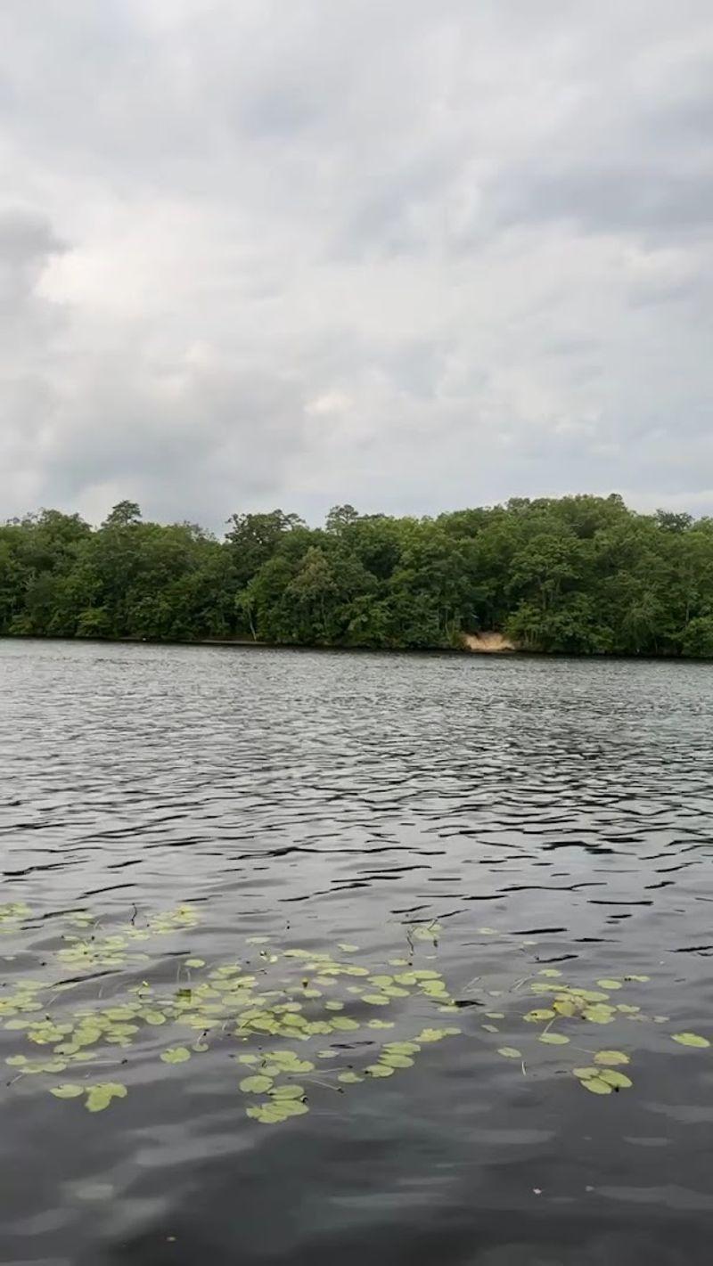 Fishing Spots Along the Shore