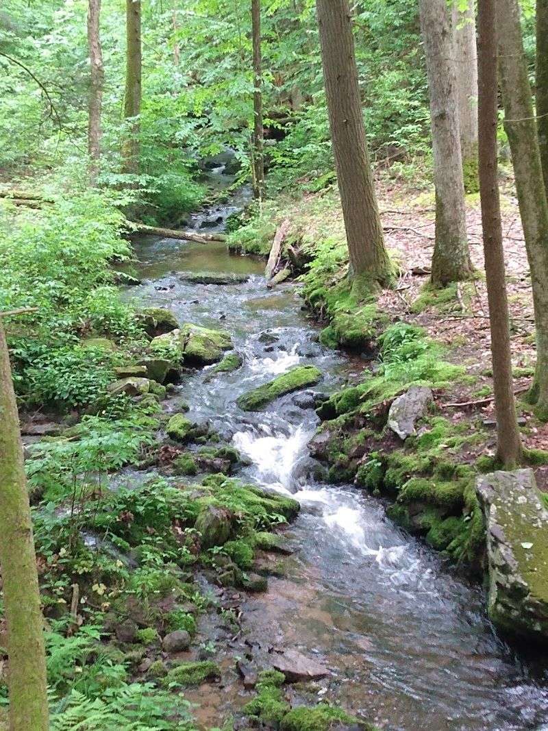 Tillman Ravine Trail (Stokes State Forest)