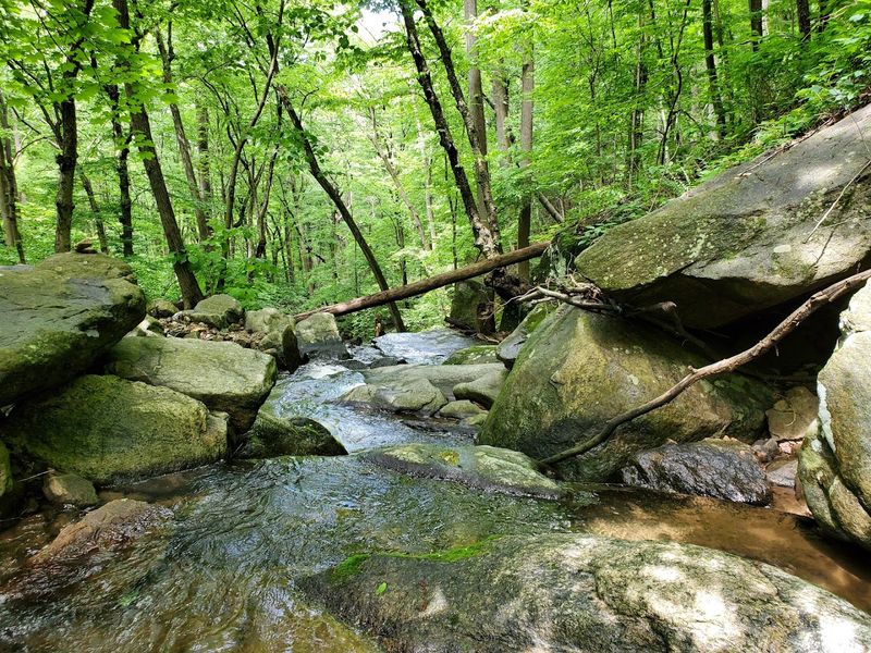 Musconetcong Gorge, Bloomsbury