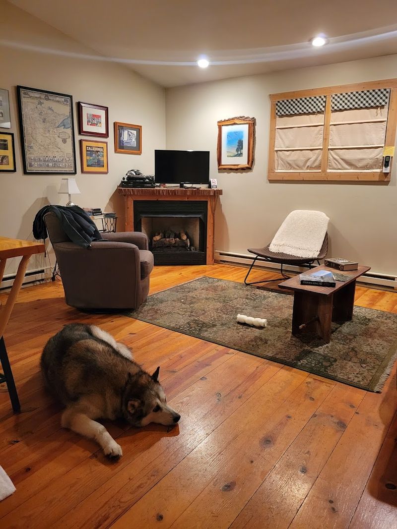 Pet-Friendly in All the Right Ways