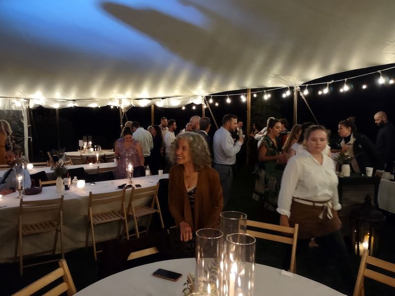 The Christmas and Holiday Experience