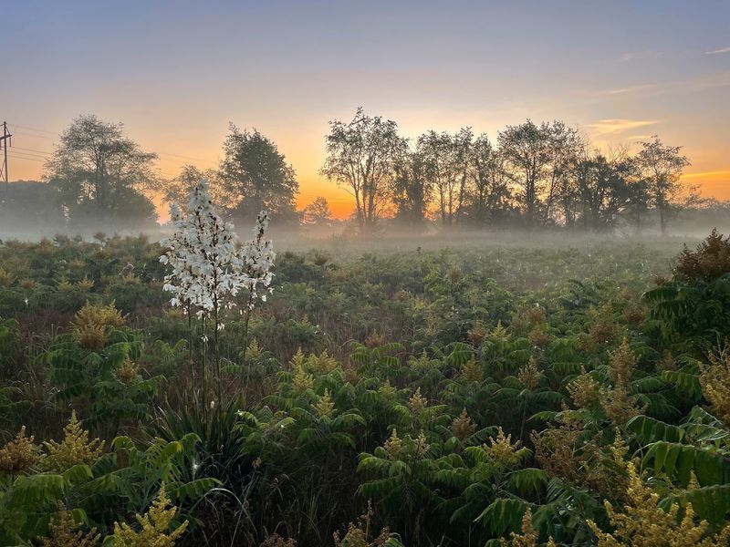 Iliniwek Village State Historic Site — Missouri