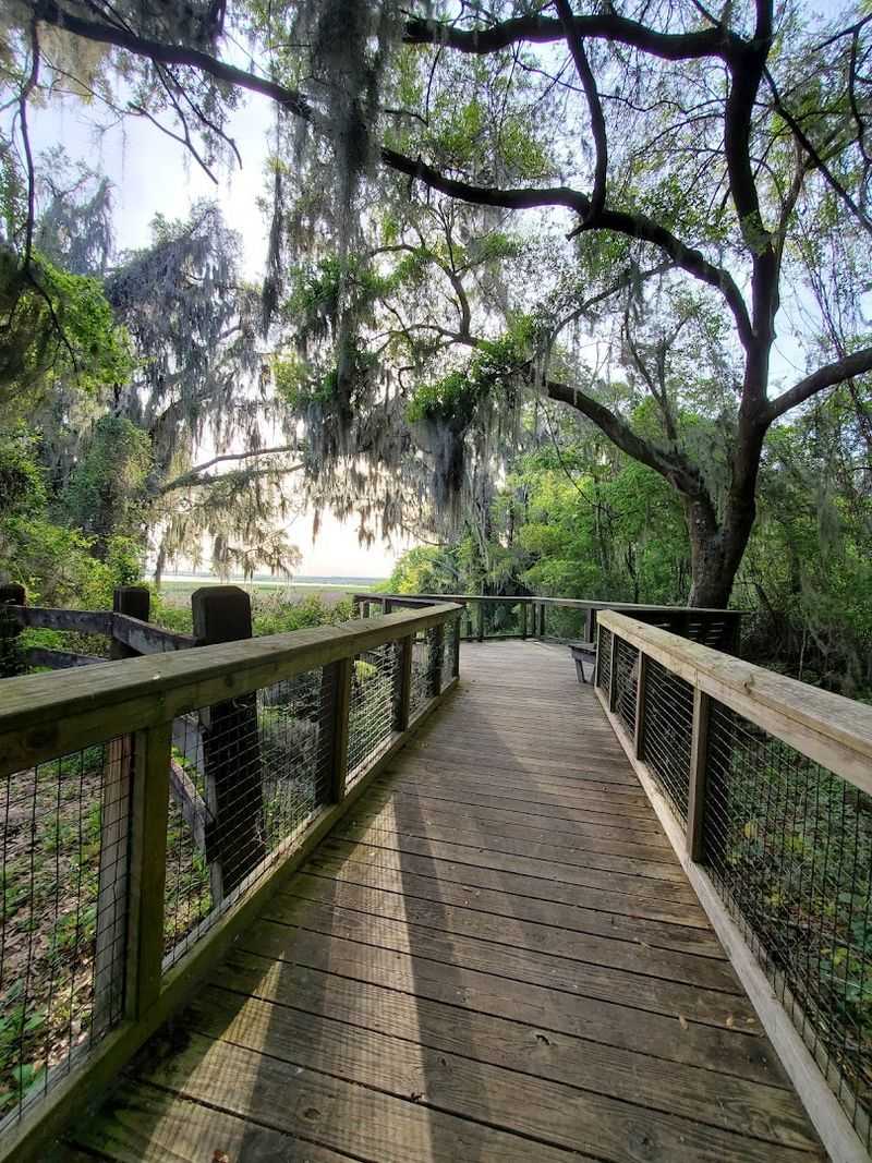 Phifer Flatwoods Preserve and the Photo Blind