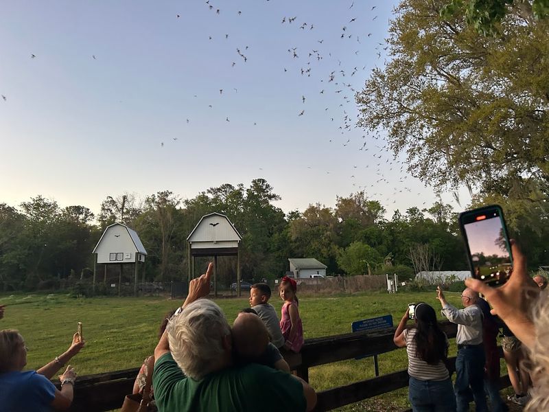 The Community Atmosphere: What It Feels Like to Be There