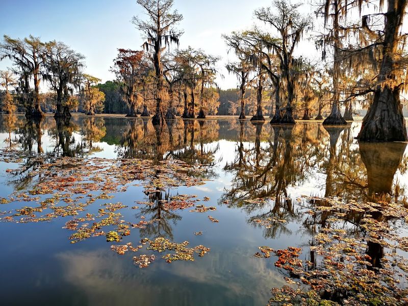 Caddo Lake — Texas/Louisiana