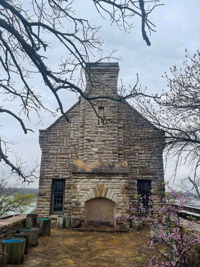 Wildlife and Nature Around the Tower