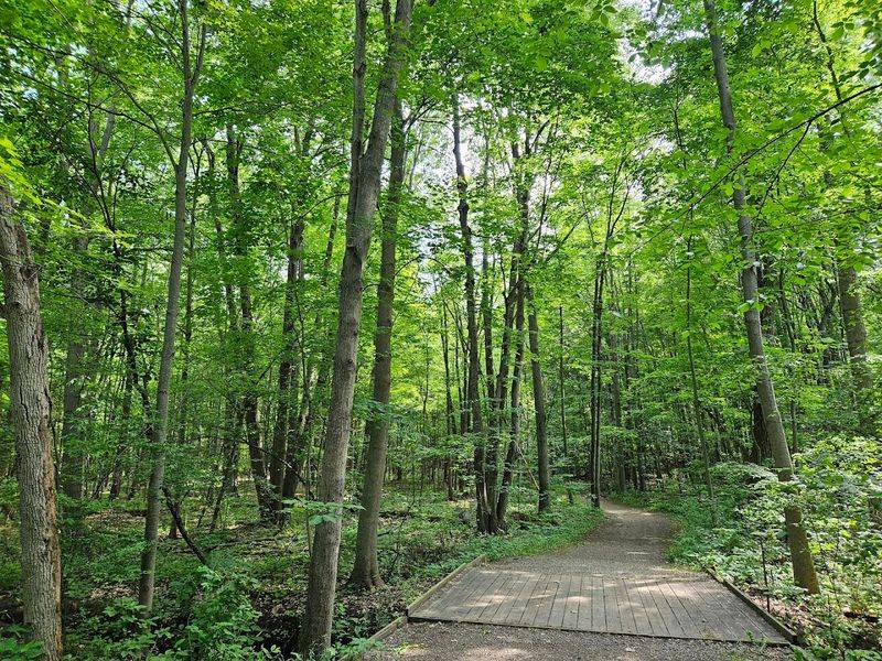 Trail System That Works for Everyone