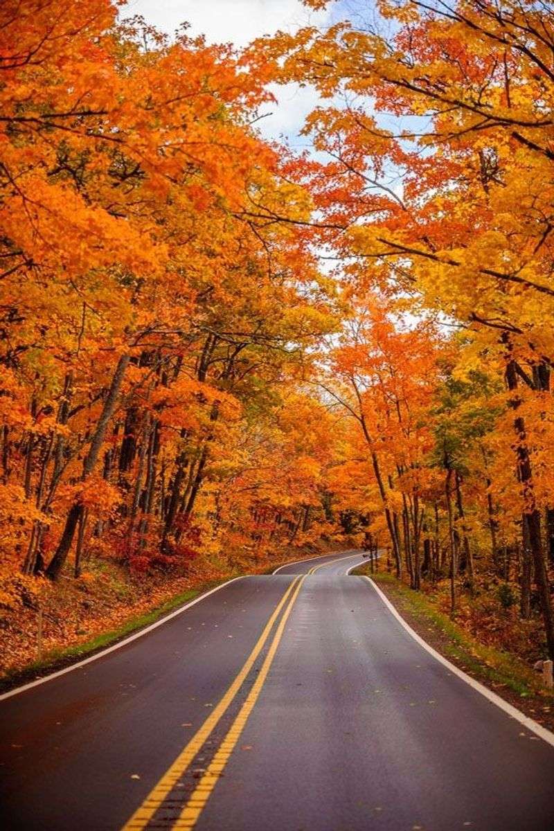 Brockway Mountain Drive: The Scenic Road That Steals the Show