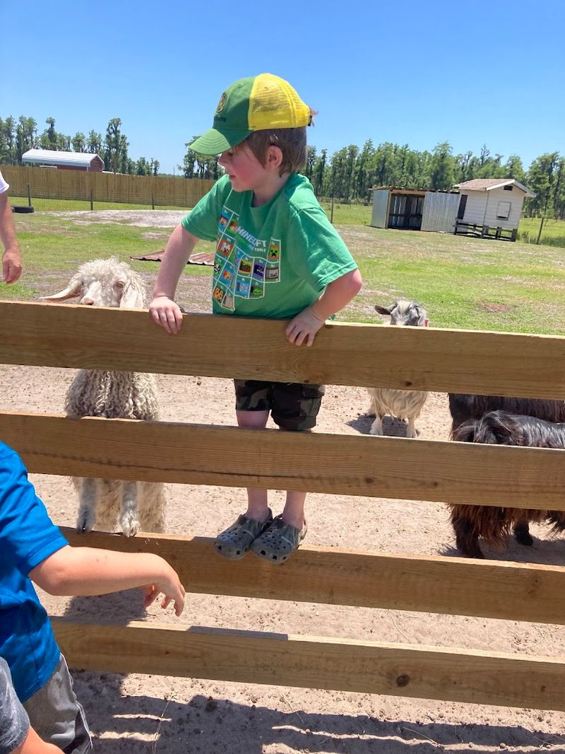 Tips for Planning Your Visit