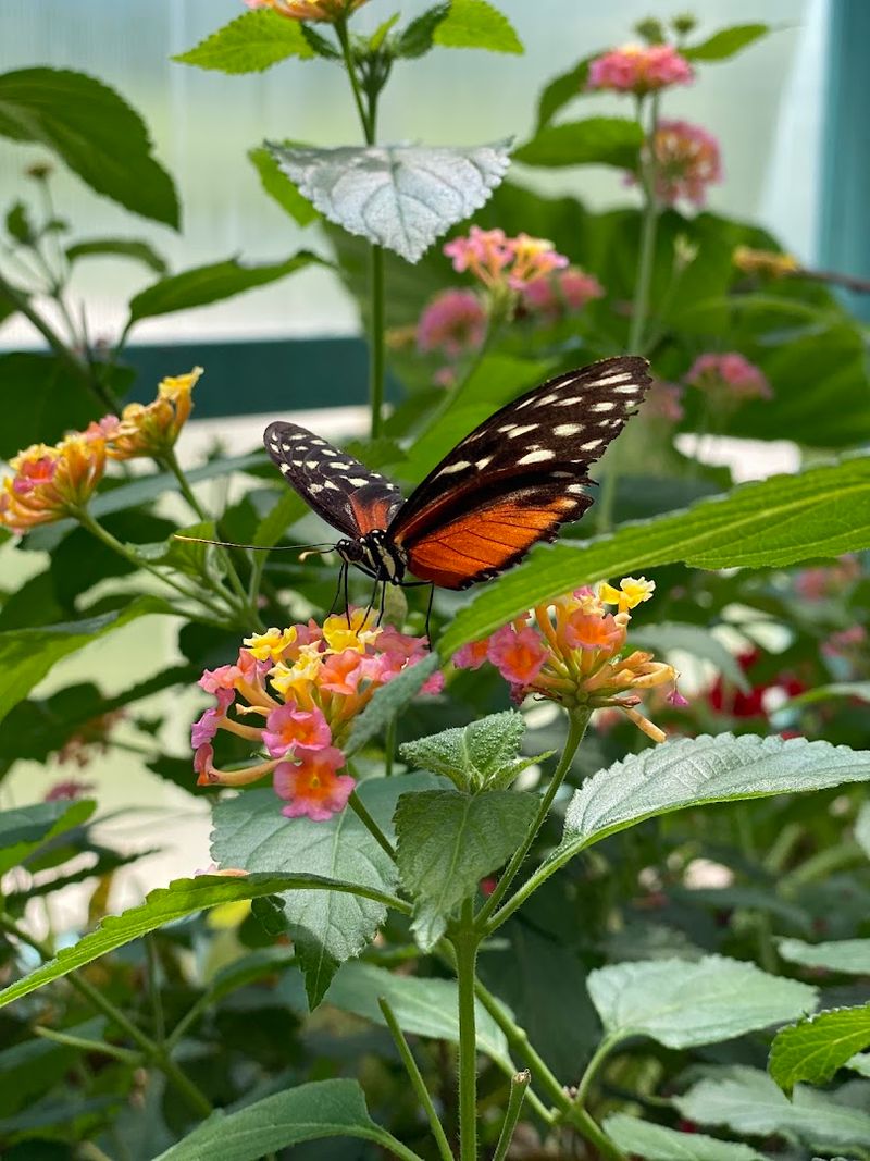 Practical tips before you go