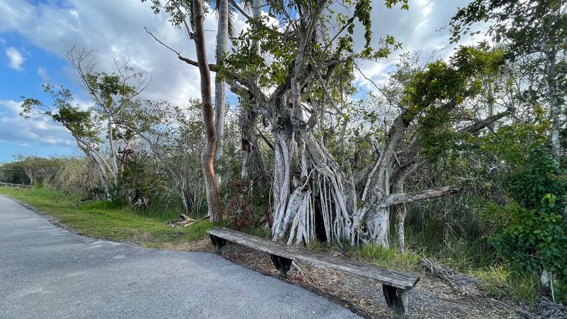 Wrapping Up The Perfect Half Mile