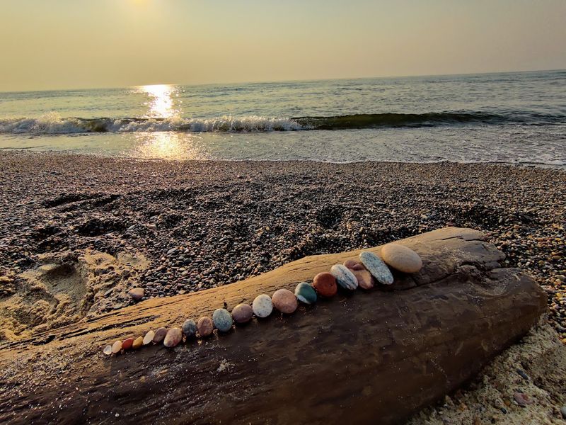 Rock Hunting: A Surprisingly Addictive Shoreline Hobby
