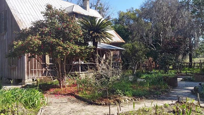 Heritage Gardens Full of Plants You Did Not Expect to Find