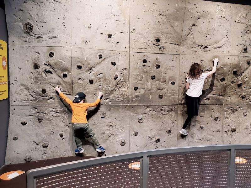 Areas Designed for the Youngest Visitors