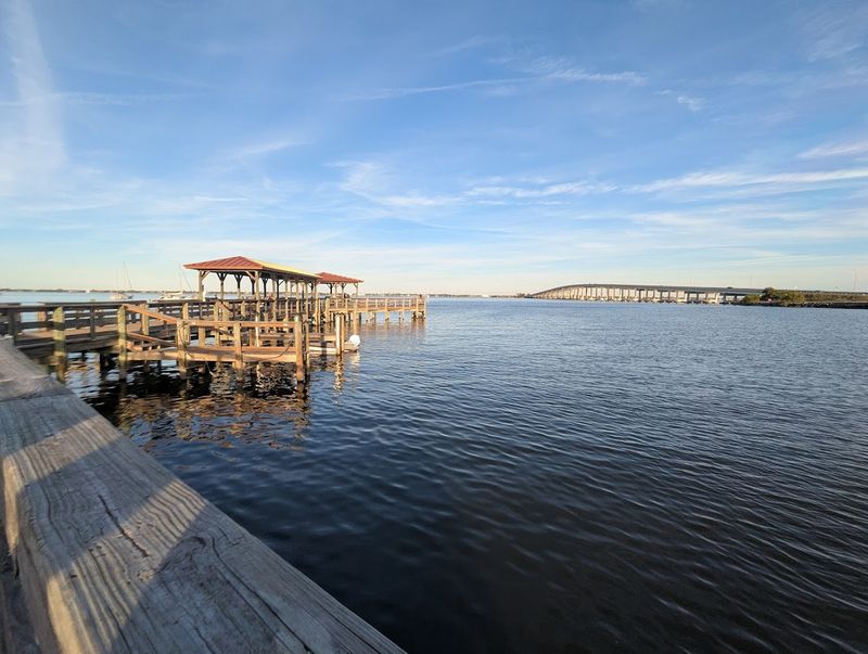 Dolphin Sightings and the Wildlife Factor