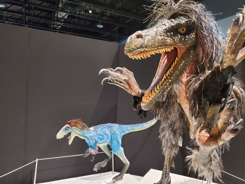 Traveling exhibits add surprise