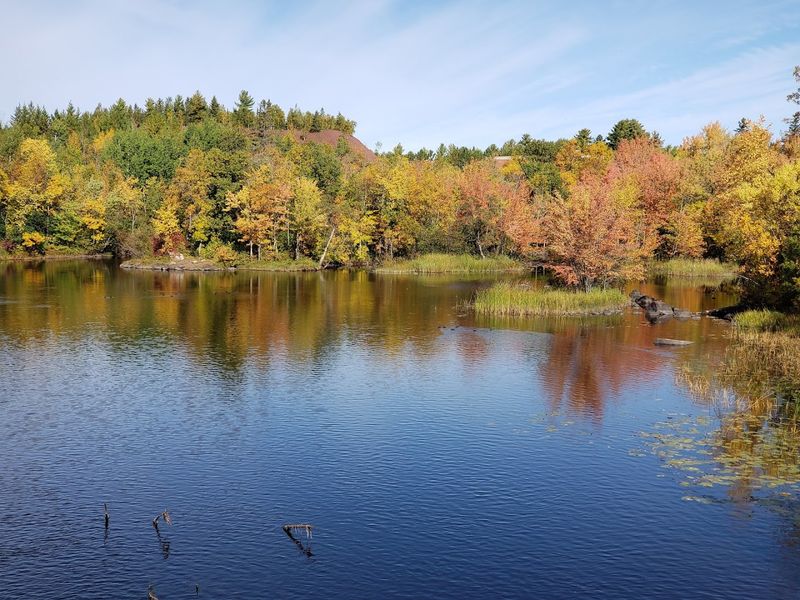 Wildlife Watching in the Surrounding Forests