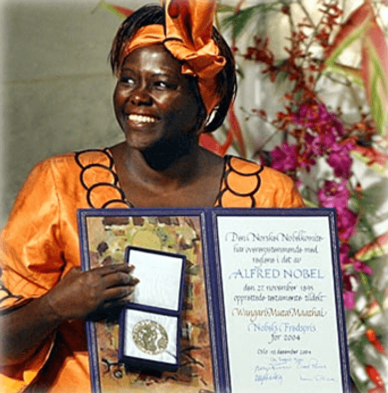 Wangari Maathai: Tree by Tree