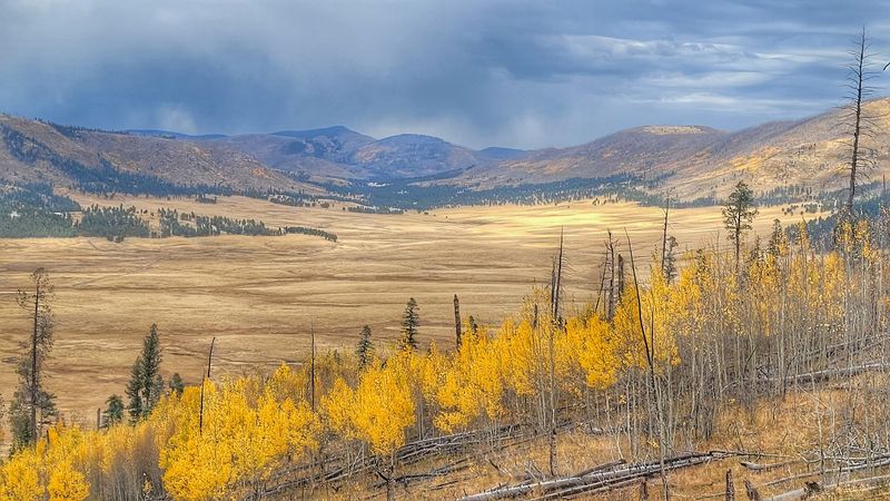Valles Caldera National Preserve Tour — New Mexico