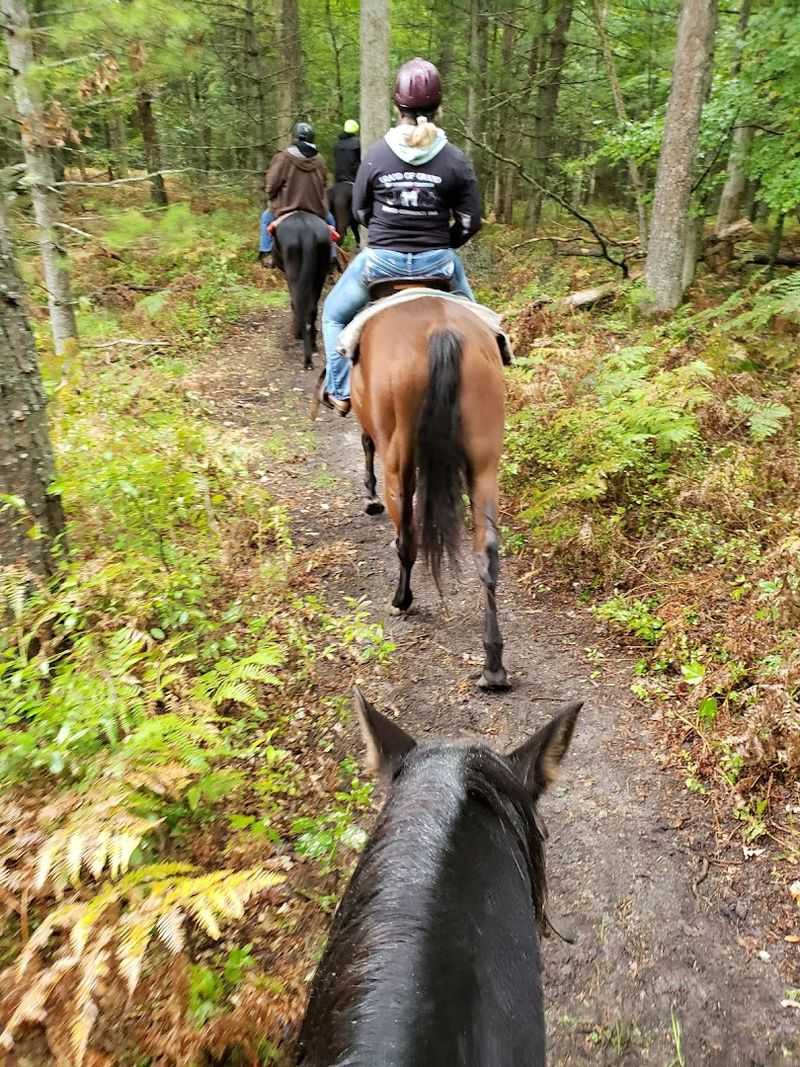 Horseback riding is the headline act