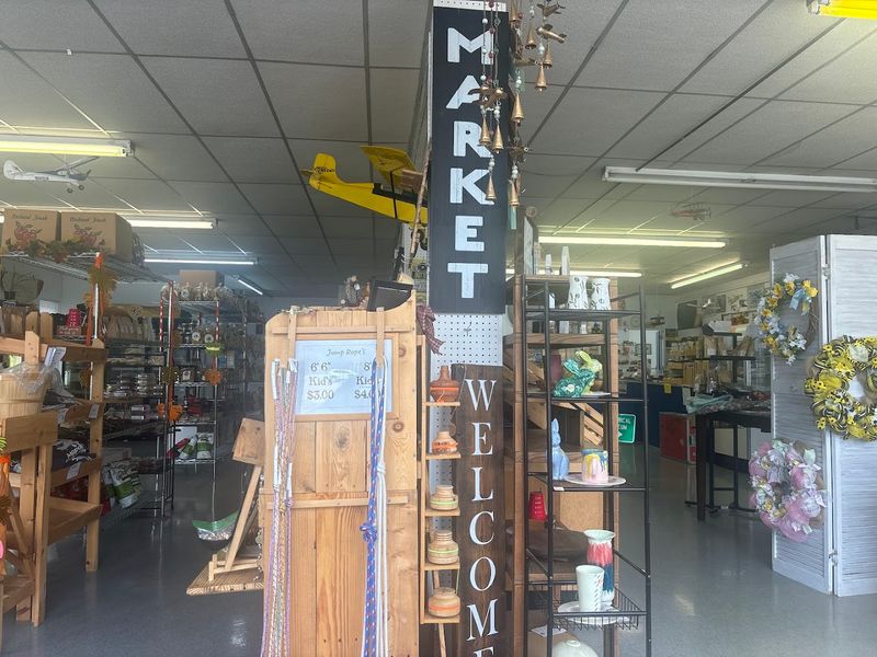 What the 4.9-Star Rating Actually Reflects