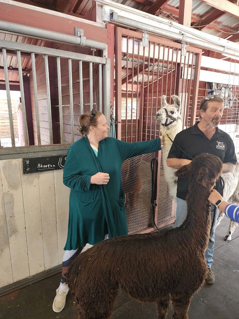 The Full Animal Barn Tour