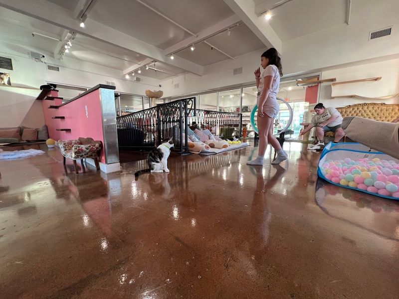 A Family-Friendly Outing That Works for All Ages