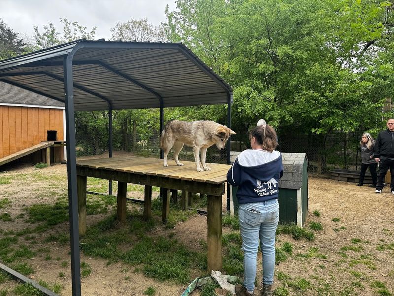 A Volunteer Powered Experience