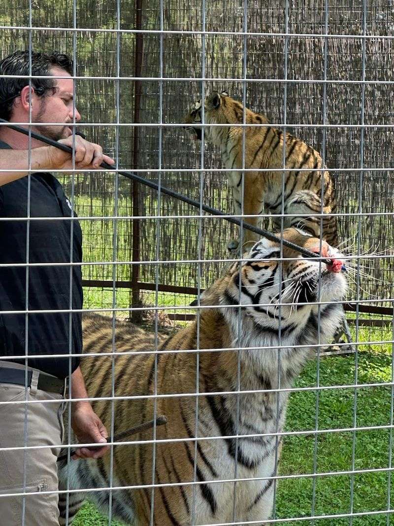 The Educational Show and Presentation