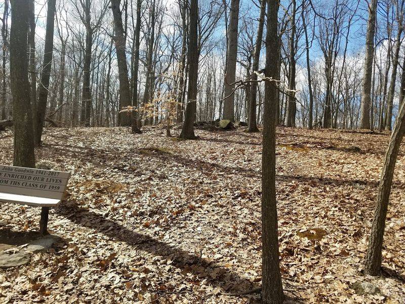 Why This Place Keeps Drawing People Back