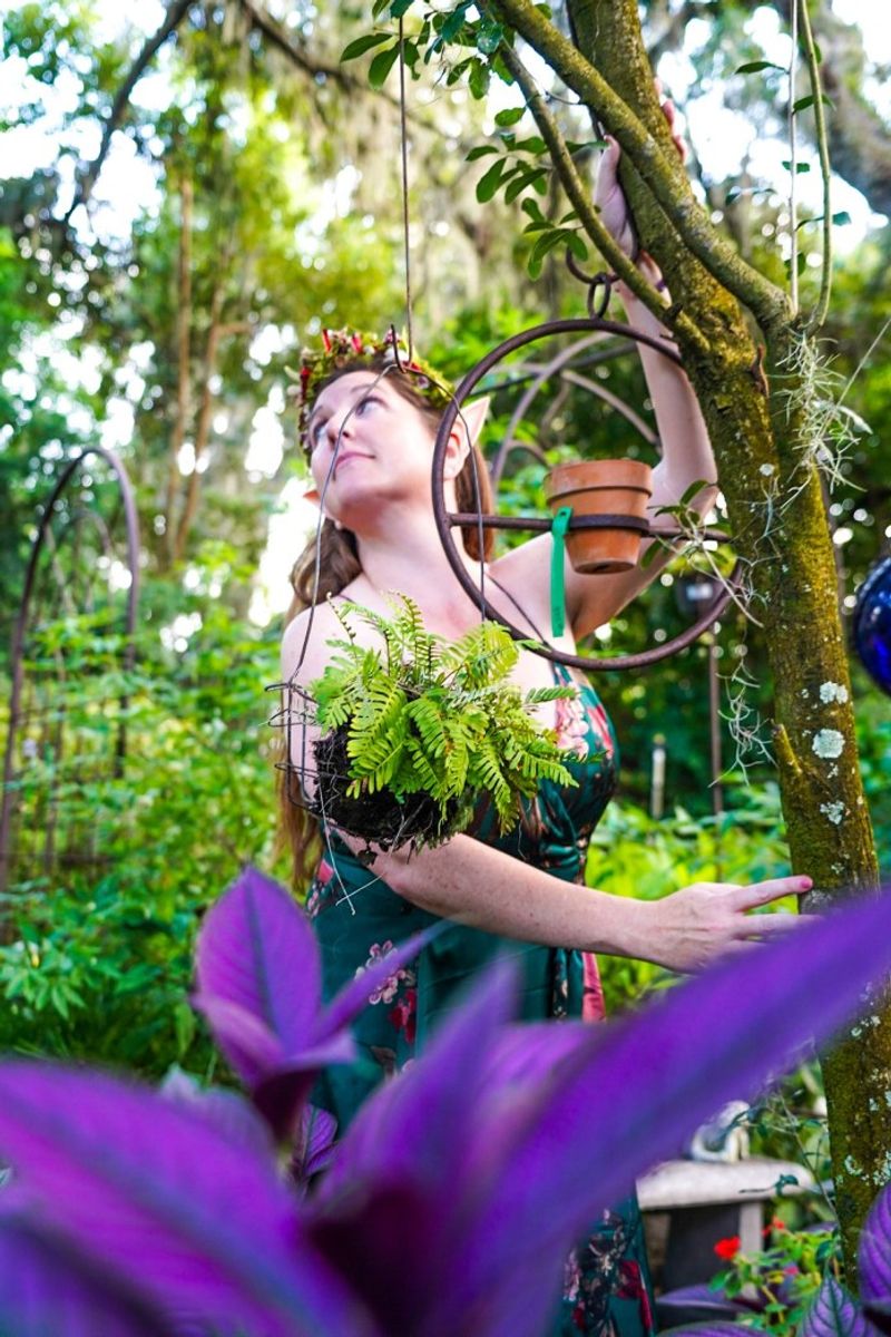 The Mossy Hollow Market and Seasonal Events