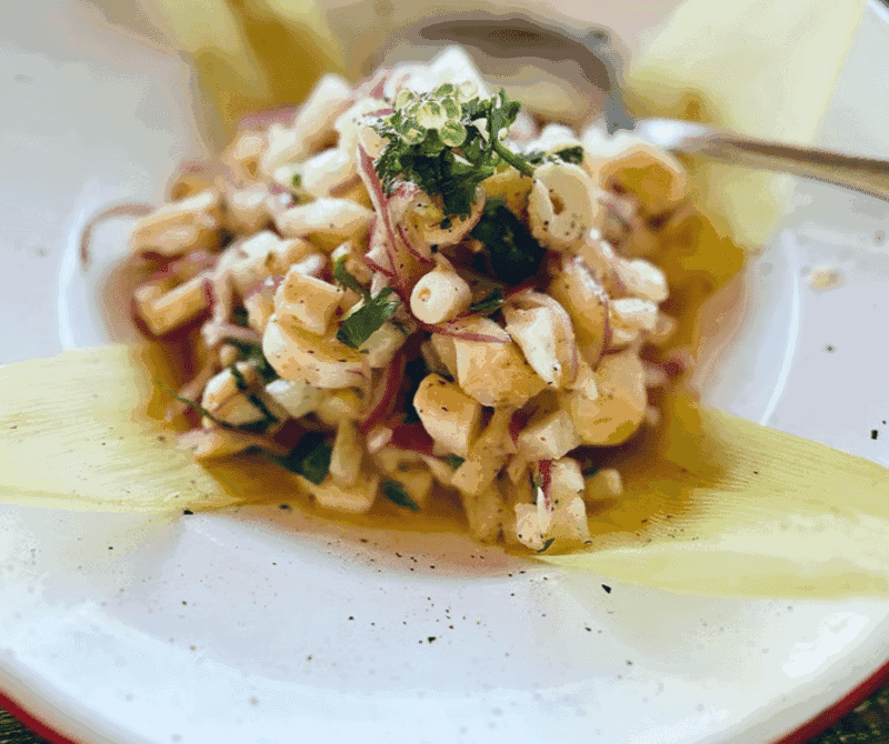 The Ceviche and Seafood Options