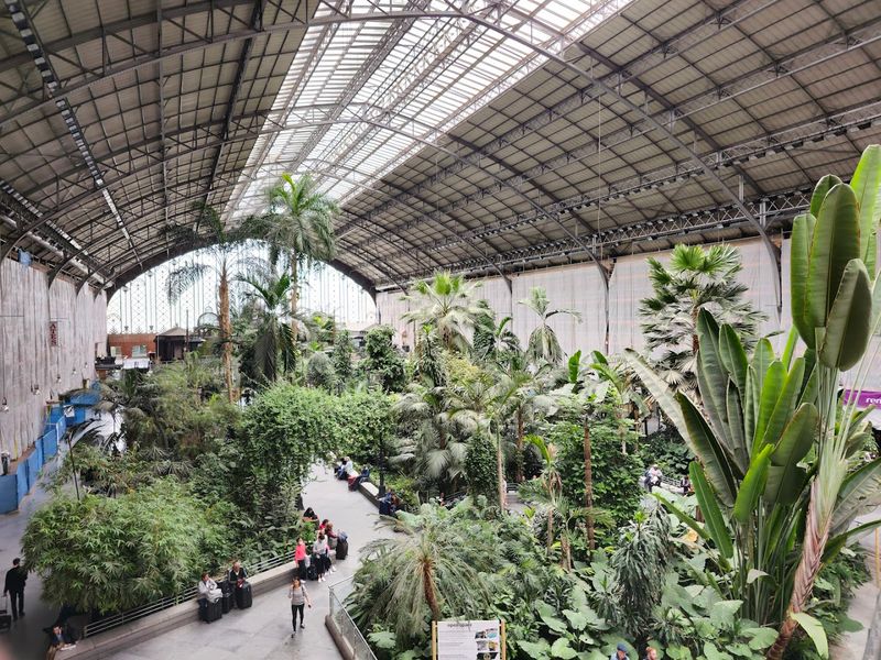 Madrid Atocha, Spain: The Historic Station With a Tropical Garden Inside