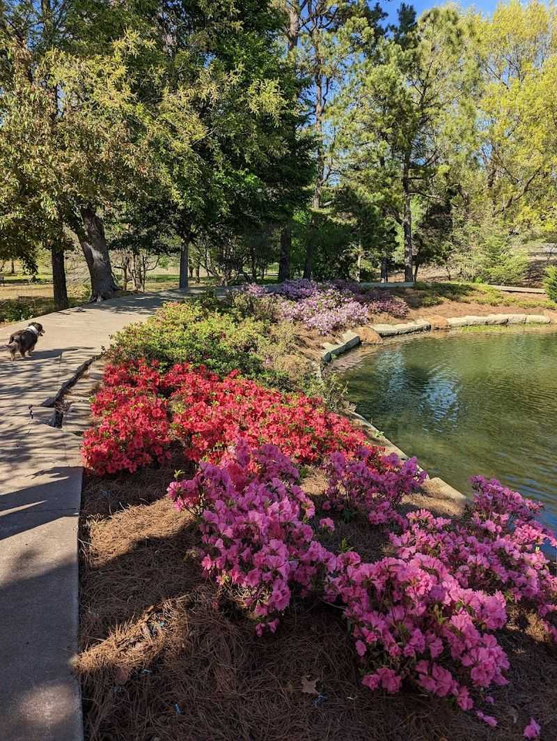 Practical Tips for Getting the Most Out of Your Visit