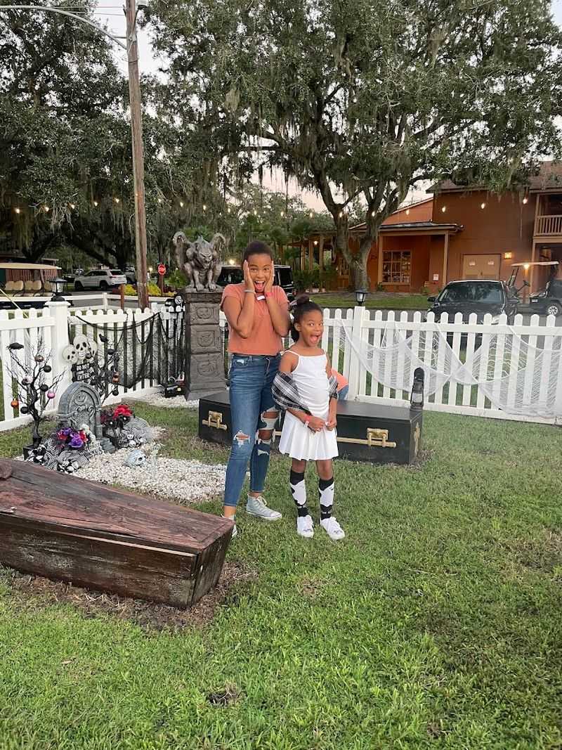 Petting Zoo and Animal Encounters