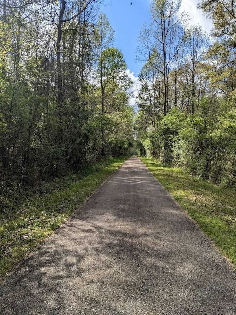 Mississippi - Longleaf Trace