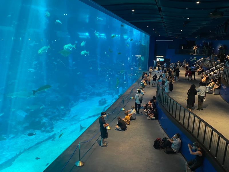 S.E.A. Aquarium — Singapore