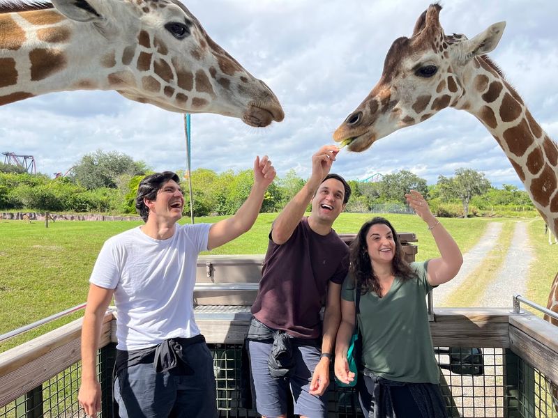 The Serengeti Plain: A Safari in the Middle of Tampa