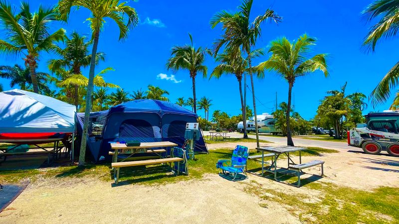 The Campground Atmosphere That Feels Like a Tropical Community