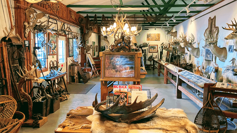 Practical Tips Before You Go