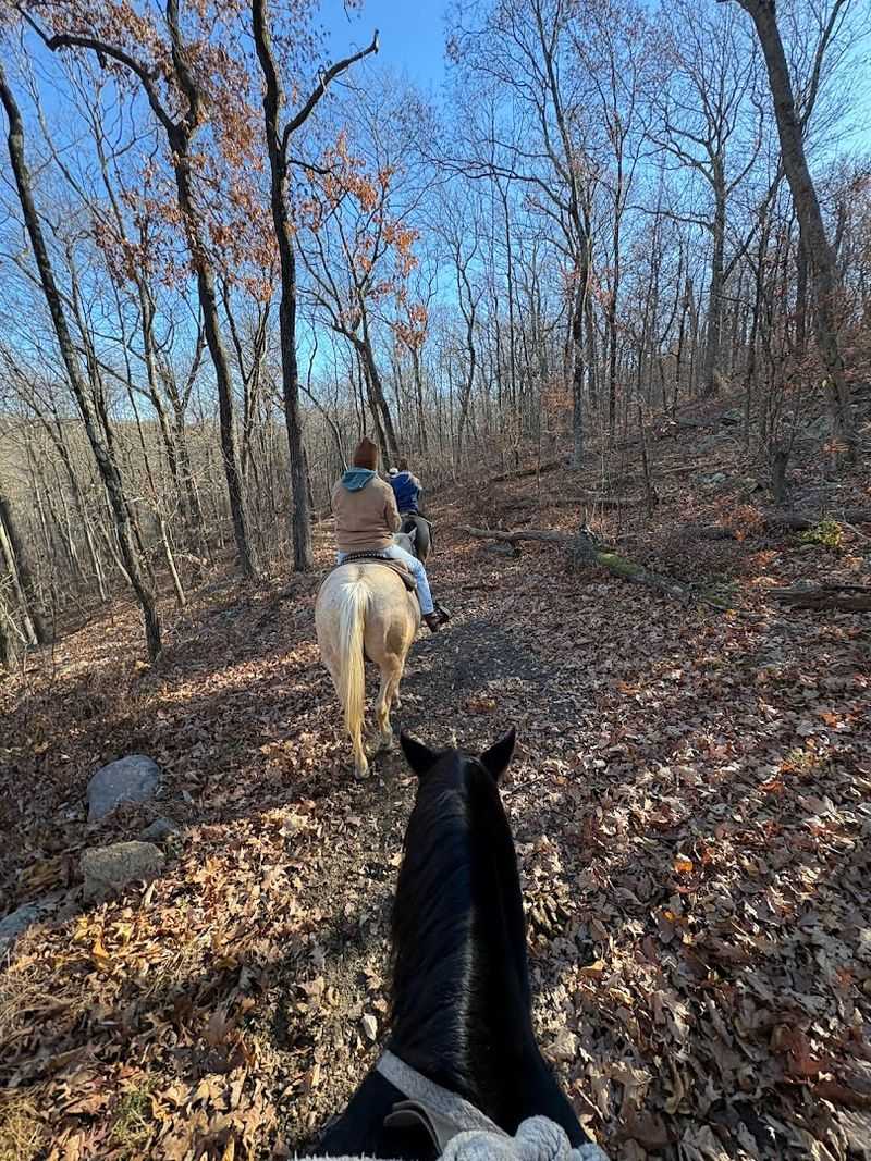 Families Have Real Options