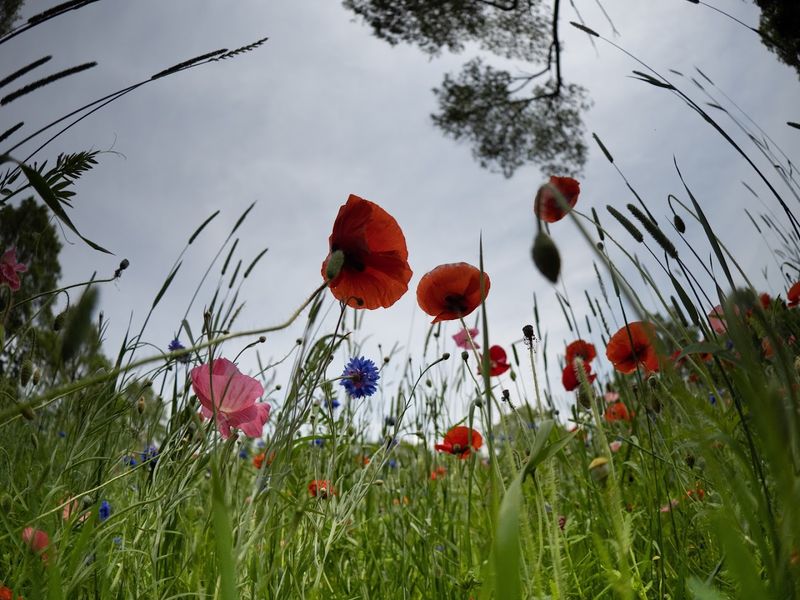 The kind of ending a summer drive deserves