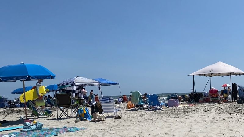 Rentals Right on the Sand