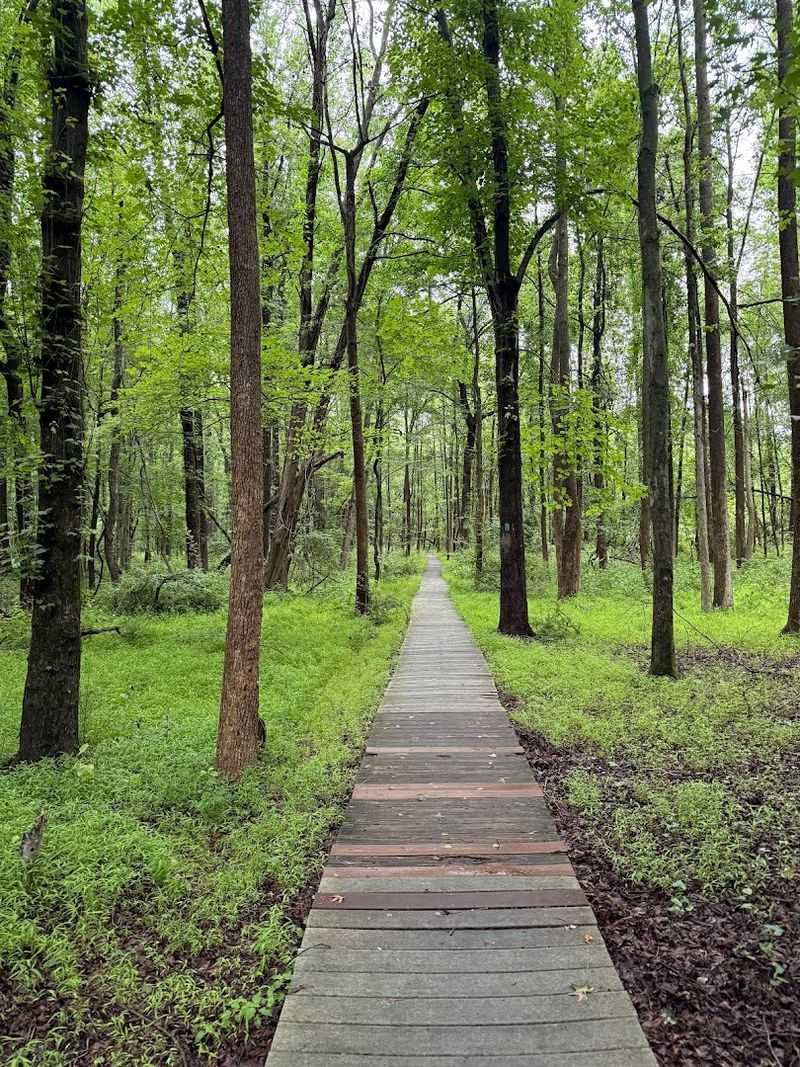 Where to Find It and What to Expect