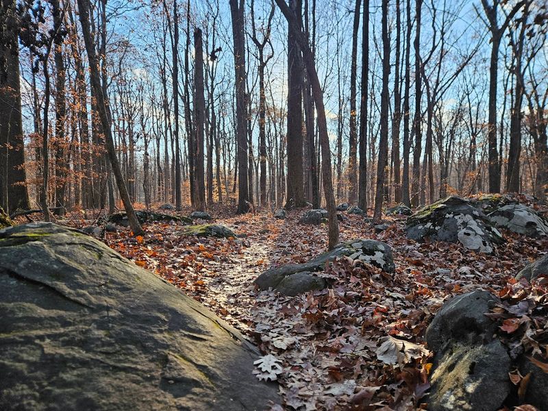 Birding and Wildlife Worth Watching For