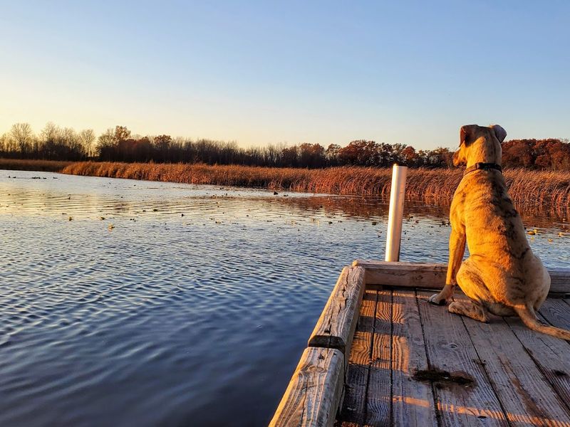 Best Times to Visit and What to Expect Each Season