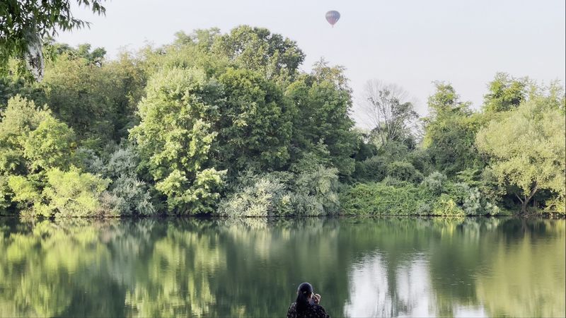 Wildlife and Natural Setting Around the Park