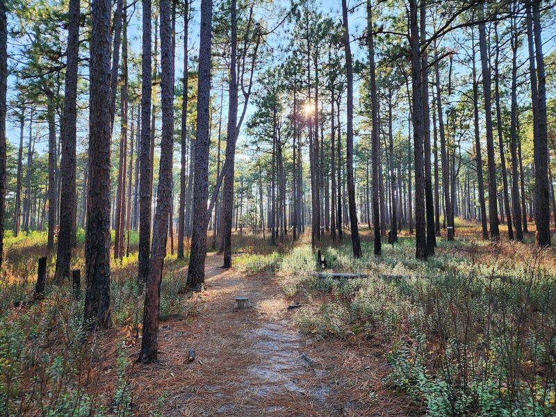 Pinehurst, North Carolina — Safe & Scenic Small-Town Gem