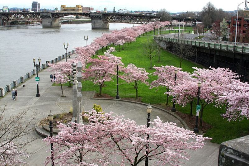 Portland, Oregon