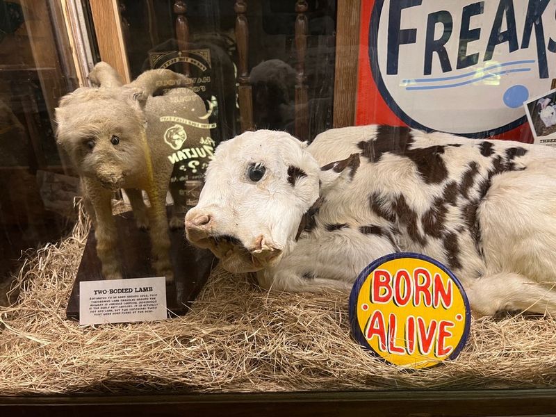 Museum of the Weird, Austin, Texas